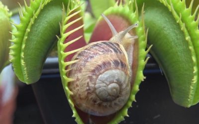 ​盘点那些神秘的生物（2）