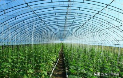 ​作为新农人，要了解的新型农业技术有哪些？