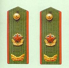 中国武警警衔肩章