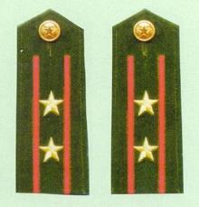 中国武警警衔肩章