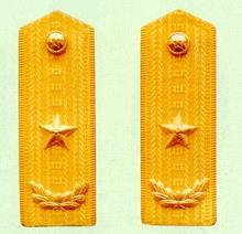 中国武警警衔肩章