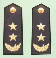 中国武警警衔肩章