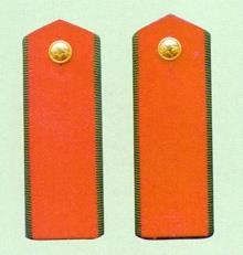 中国武警警衔肩章