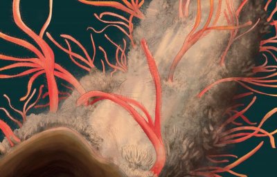 ​海里有虫子？