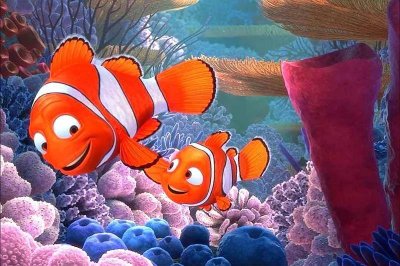​生物相册：记得小丑鱼尼莫吗？自然界有29种小丑鱼