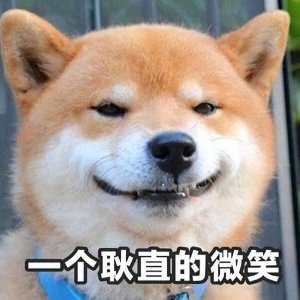 ​最“忠诚护主”的8种狗，一生只认一个主人，田园犬上榜！