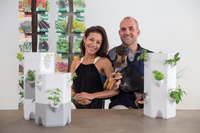 ​气耕种植塔 无土的绿意