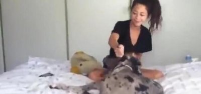 ​女主人给狗狗吹气，下一幕却让人尴尬不已！