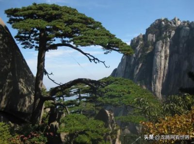 ​「龙腾网」越南网友：中国和美国之旅游差异