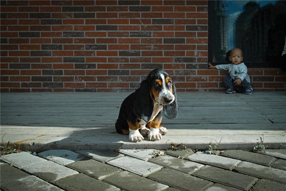 带你逛逛红博西城红场