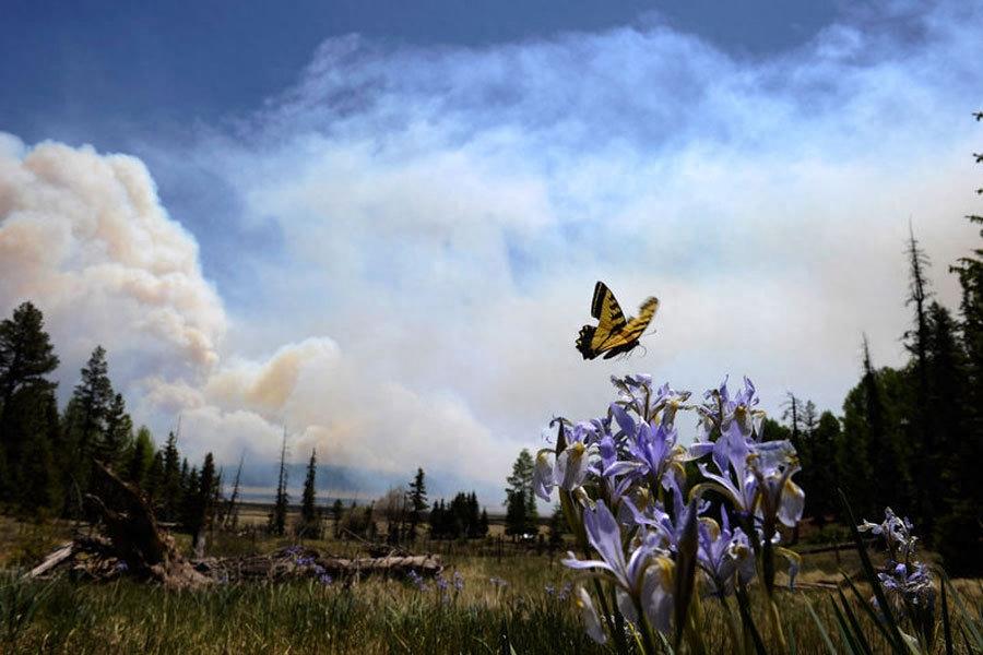 直击9张“末日来临”的照片，其实生死就在一瞬间