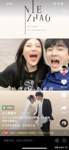 ​佟丽娅陈思诚官宣离婚：真正的爱情是反“流量”的