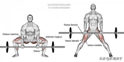 ​相扑硬拉的动作解析、常见错误和要点