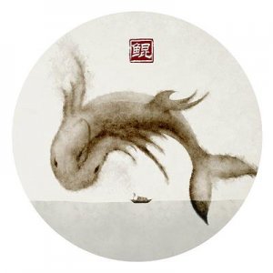 ​详解“北冥有鱼，其名为鲲”