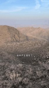 ​山谷奇闻！男子误听到几百人开会？揭开“太阳能念经机”之谜