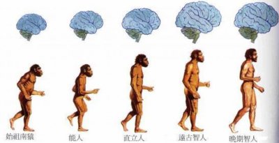 ​盘点被人类吃灭绝的动物，从50亿到1只不剩，连百年都不到