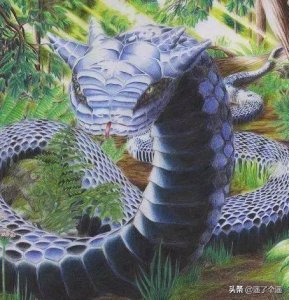 ​《山海经异兽录》——巴蛇