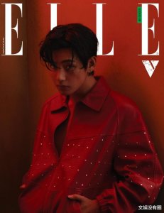 ​防弹少年团金泰亨登《ELLE》4月封面，不愧是“世界第一美男”！
