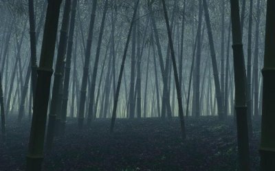 ​民间故事：墓虎