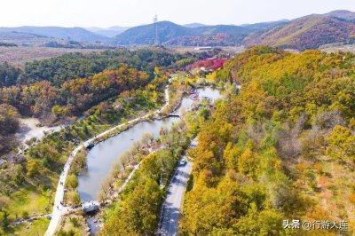 ​大连最美枫叶已上线，快带着相机来打卡