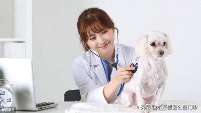 ​兽医资格证考出来了吗？含金量如何，看完这7点你就明白了