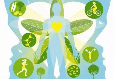 ​计算您的基础代谢率以减轻体重