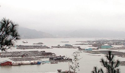 ​我国最独特“海上浮城”，8千多人漂在海上，台风强袭却稳如磐石