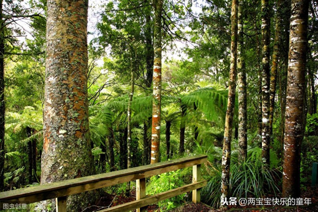 十年树木,百年树人