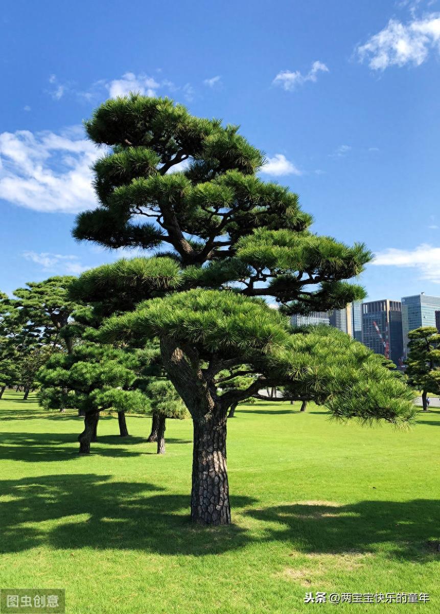 十年树木,百年树人