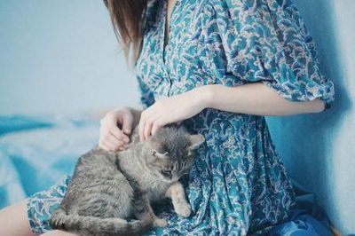 ​何为神不足，何为神有余