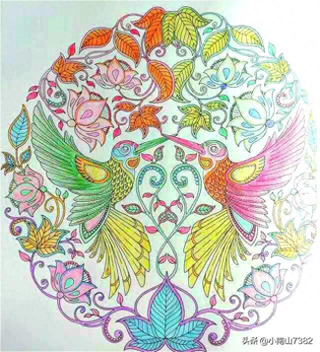 成人减压涂色本《秘密花园》