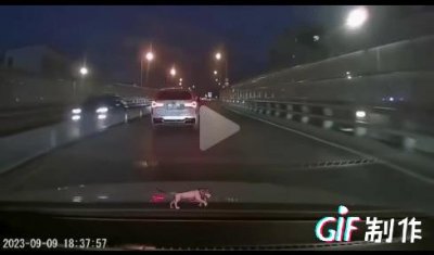 ​大连一宝马车逆行撞击劳斯莱斯，知情人曝出滑稽内幕！