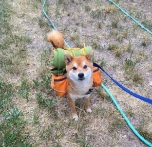 ​我国的学科分类——教育学