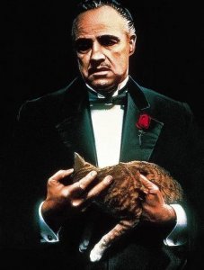 ​《教父》：豆瓣9.3分，讲述一代枭雄的崛起和陨落！