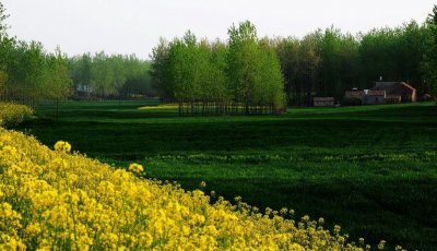 ​阜宁，来了！多彩阜宁送来多样好礼！本周三，足不出“沪”，聆听“江淮乐地”