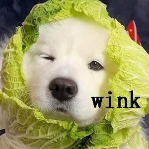 ​码住！ 超市就能买到的18种对狗狗有益的高营养素蔬菜！