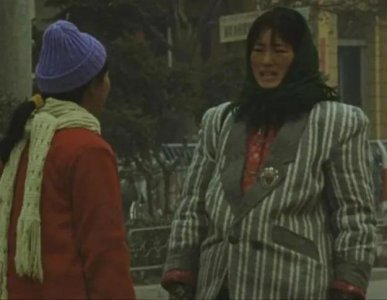 ​经典电影赏析之30：《秋菊打官司》（巩俐主演）