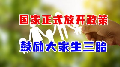 ​只要生育二、三孩，每月每孩发500元育儿补贴？全国首例来了