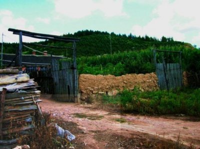 ​985研究生靠学习走出大山，爱上初中学历理发师，已休学回家生子