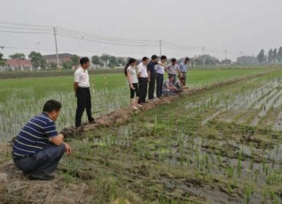 ​农村土地分田到户，是从什么年代开始的？
