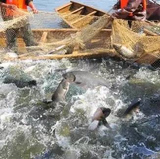 湖南特产有哪些土特产(湖南土特产排行榜前十名)-