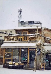 ​没文化的人表现(文化现象的显著特点)