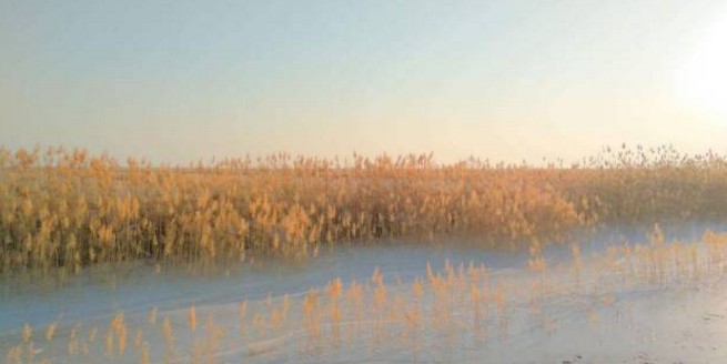 滨海是哪个省的城市(滨海县地名历史由来)-