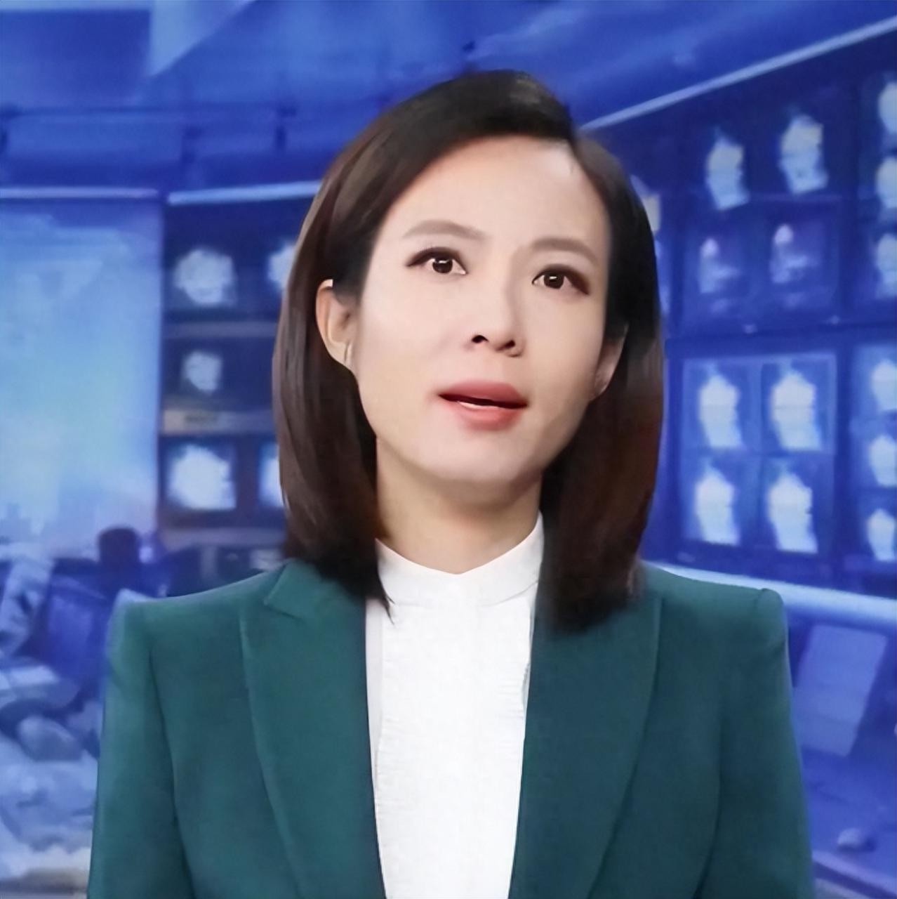 央视主持人宝晓峰个人简历(宝晓峰主持人经历介绍)-