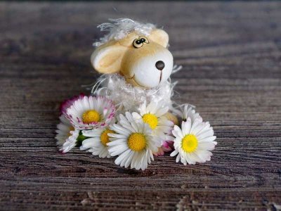 ​母亲节感恩妈妈的说说祝福语（母亲节感恩妈妈的句子简短）