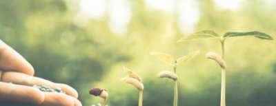 ​佛山博华陶瓷博华陶瓷如何样博华陶瓷价格