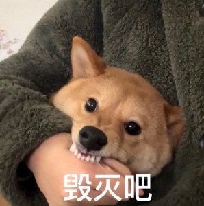 ​用短视频传递“毒暗号”，检察建议书来了！