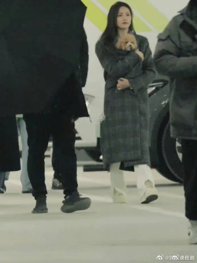 白鹿抱狗上班路透  