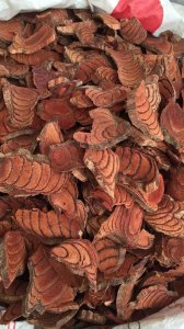 ​高鹏说药材：市场热点品种鸡血藤近期行情走势简析