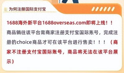 ​跨境新风口？还是昙花一现？1688跨境Overseas横空出世！